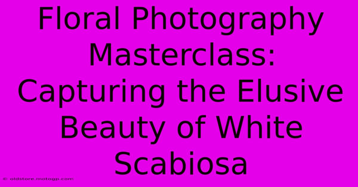 Floral Photography Masterclass: Capturing The Elusive Beauty Of White Scabiosa