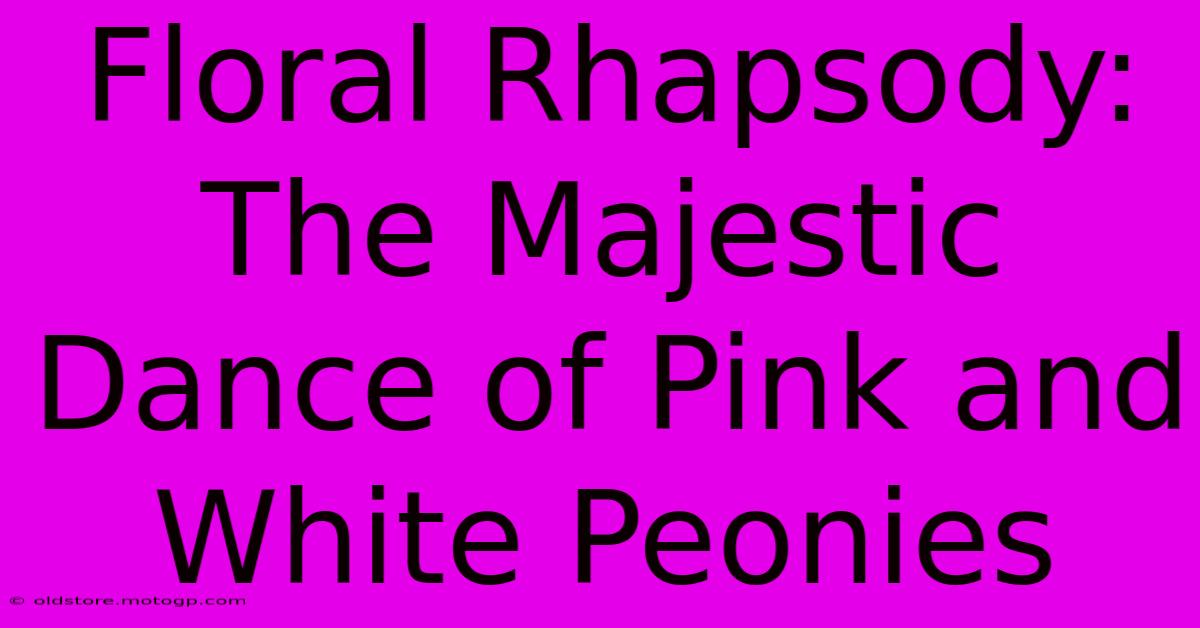 Floral Rhapsody: The Majestic Dance Of Pink And White Peonies