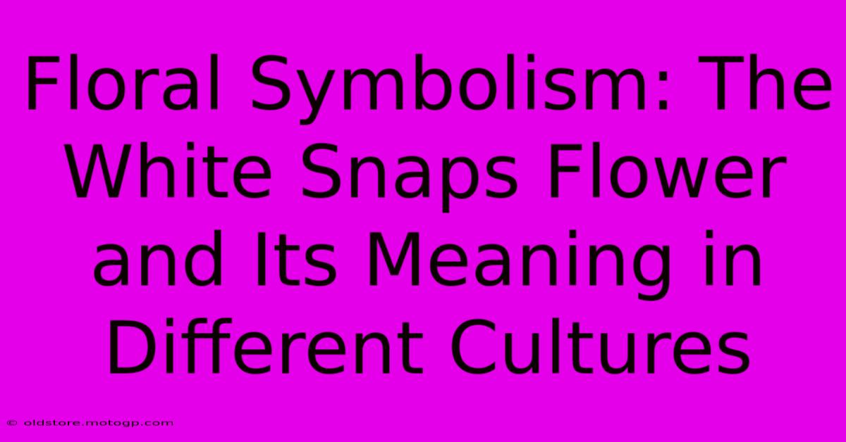 Floral Symbolism: The White Snaps Flower And Its Meaning In Different Cultures