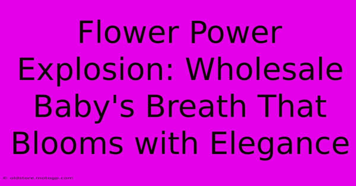 Flower Power Explosion: Wholesale Baby's Breath That Blooms With Elegance