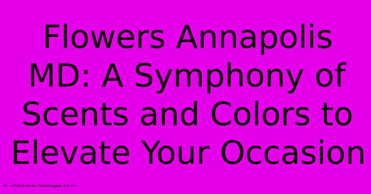 Flowers Annapolis MD: A Symphony Of Scents And Colors To Elevate Your Occasion