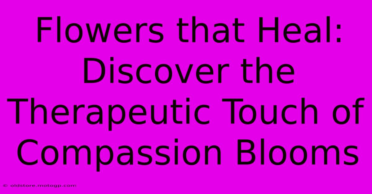 Flowers That Heal: Discover The Therapeutic Touch Of Compassion Blooms