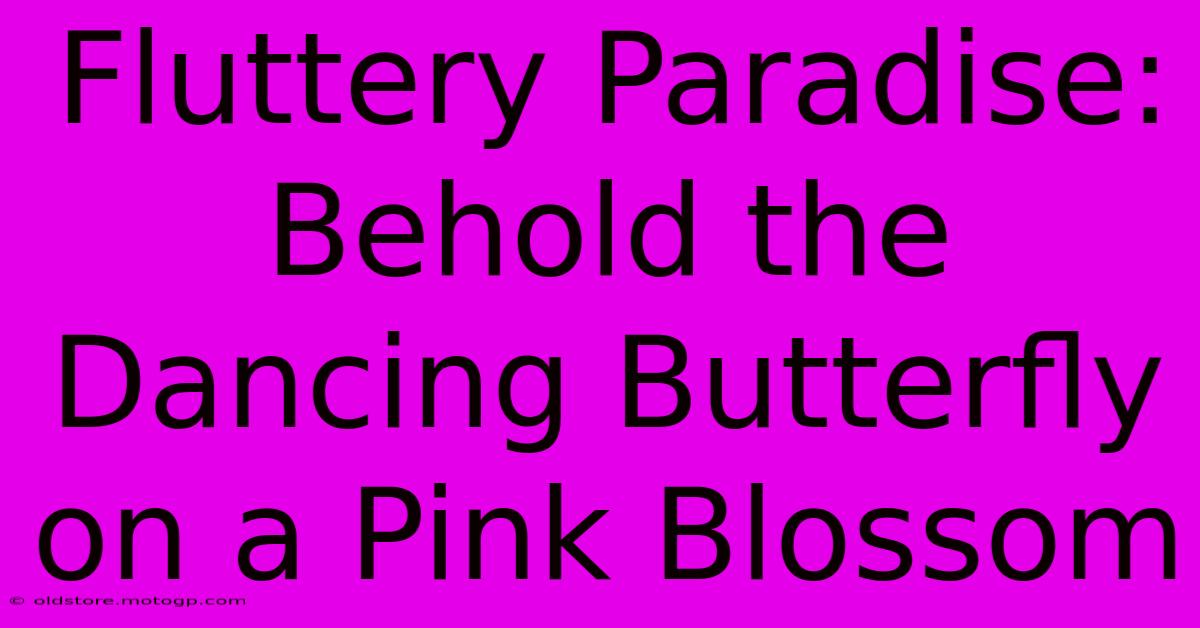 Fluttery Paradise: Behold The Dancing Butterfly On A Pink Blossom