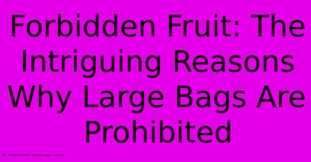 Forbidden Fruit: The Intriguing Reasons Why Large Bags Are Prohibited