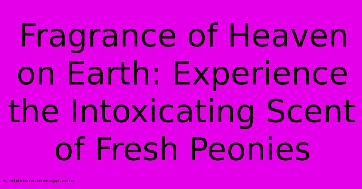 Fragrance Of Heaven On Earth: Experience The Intoxicating Scent Of Fresh Peonies