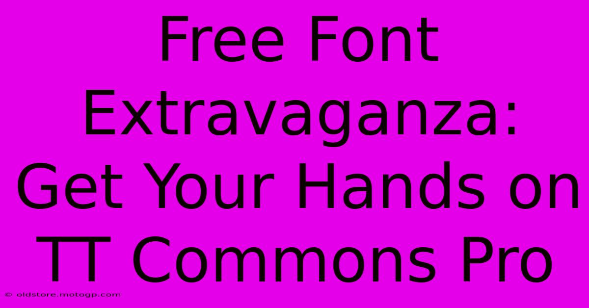 Free Font Extravaganza: Get Your Hands On TT Commons Pro