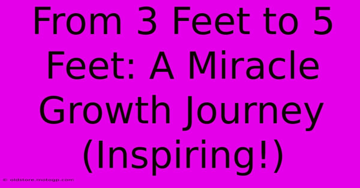 From 3 Feet To 5 Feet: A Miracle Growth Journey (Inspiring!)