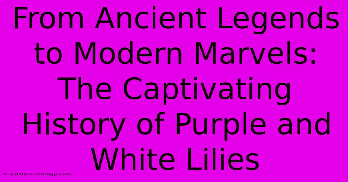 From Ancient Legends To Modern Marvels: The Captivating History Of Purple And White Lilies