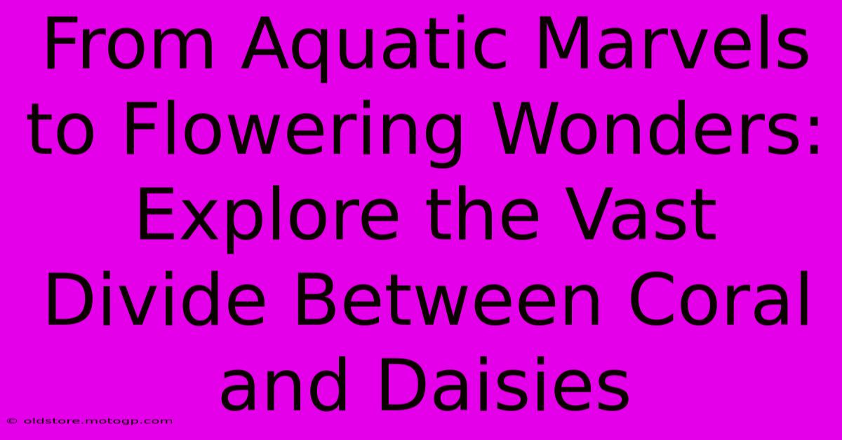 From Aquatic Marvels To Flowering Wonders: Explore The Vast Divide Between Coral And Daisies