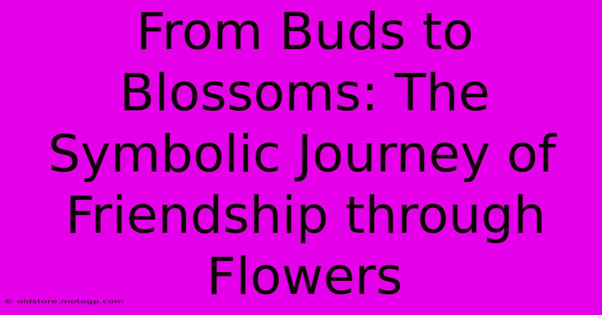 From Buds To Blossoms: The Symbolic Journey Of Friendship Through Flowers