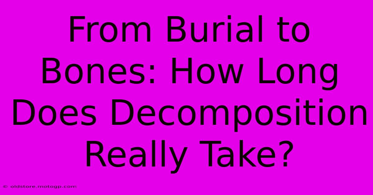 From Burial To Bones: How Long Does Decomposition Really Take?