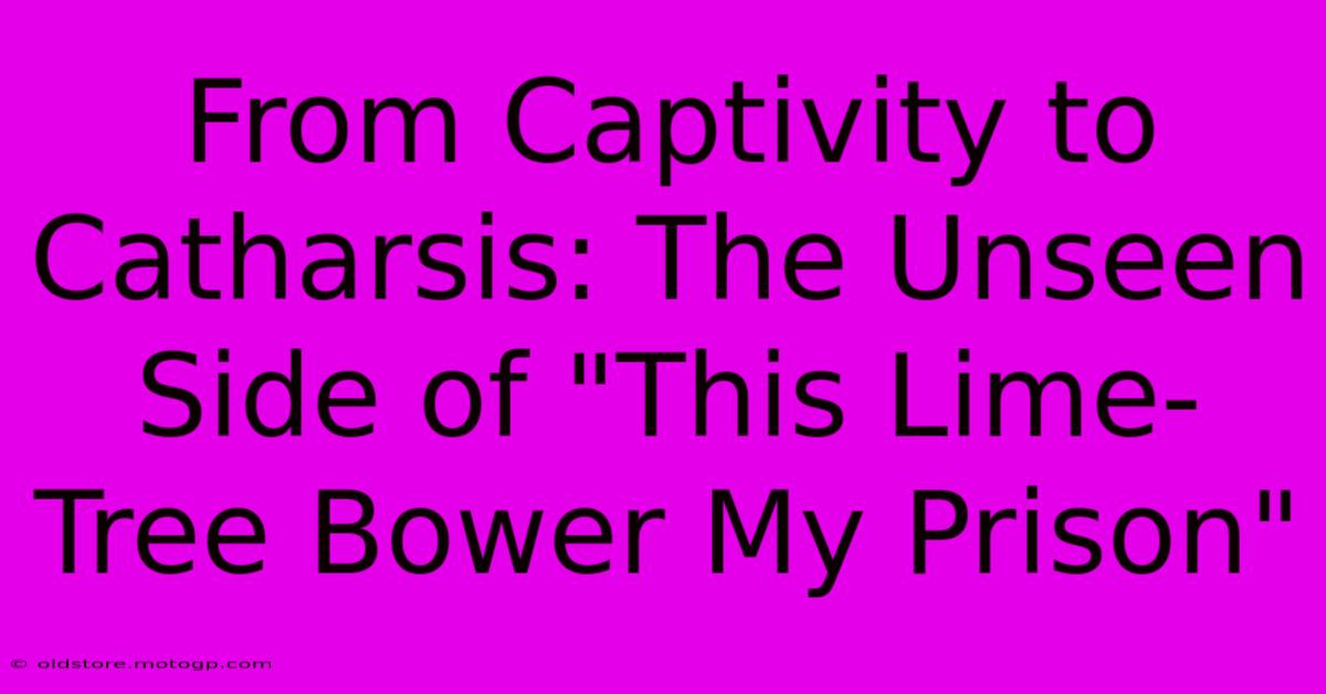 From Captivity To Catharsis: The Unseen Side Of 