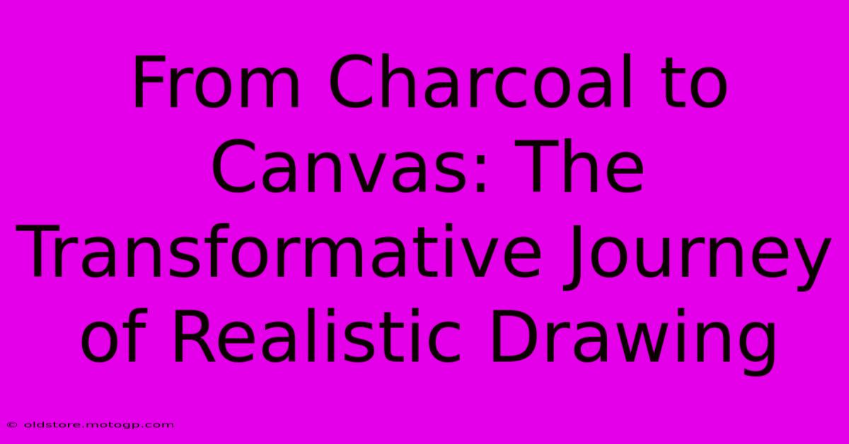 From Charcoal To Canvas: The Transformative Journey Of Realistic Drawing