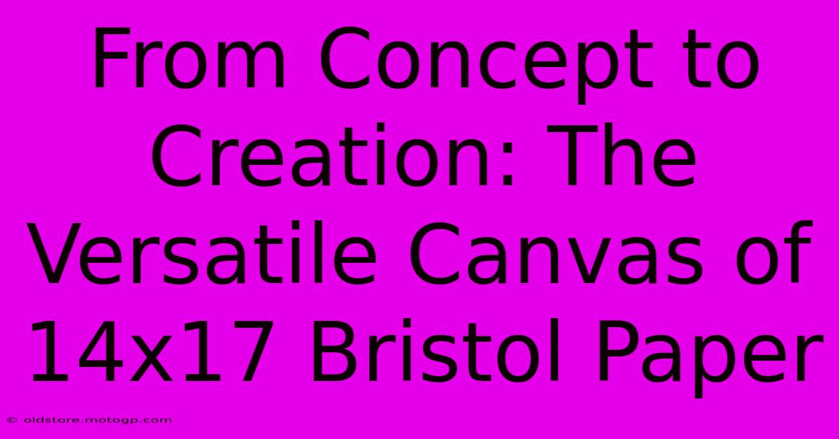 From Concept To Creation: The Versatile Canvas Of 14x17 Bristol Paper