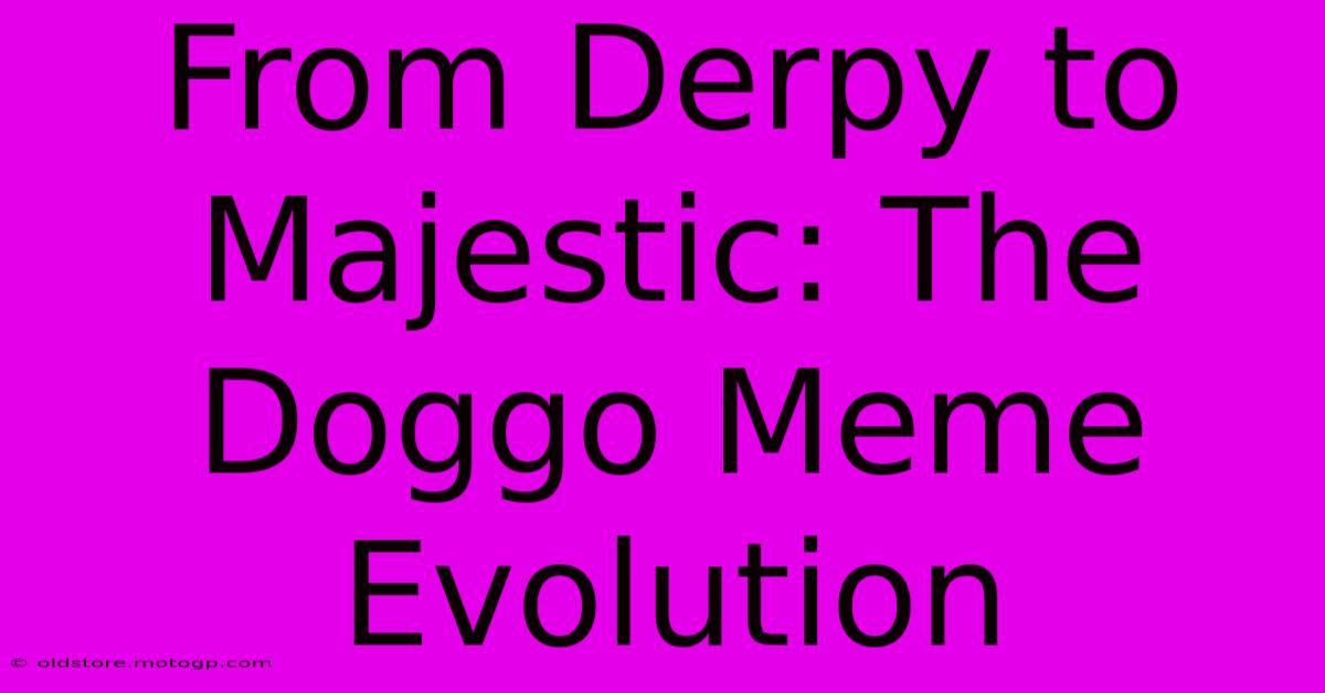 From Derpy To Majestic: The Doggo Meme Evolution