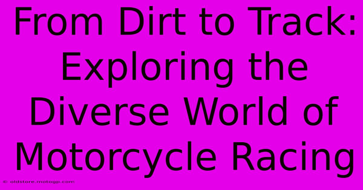 From Dirt To Track: Exploring The Diverse World Of Motorcycle Racing