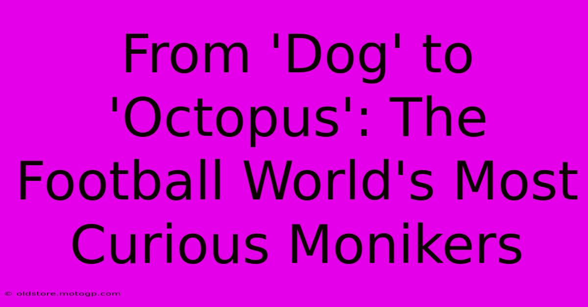 From 'Dog' To 'Octopus': The Football World's Most Curious Monikers