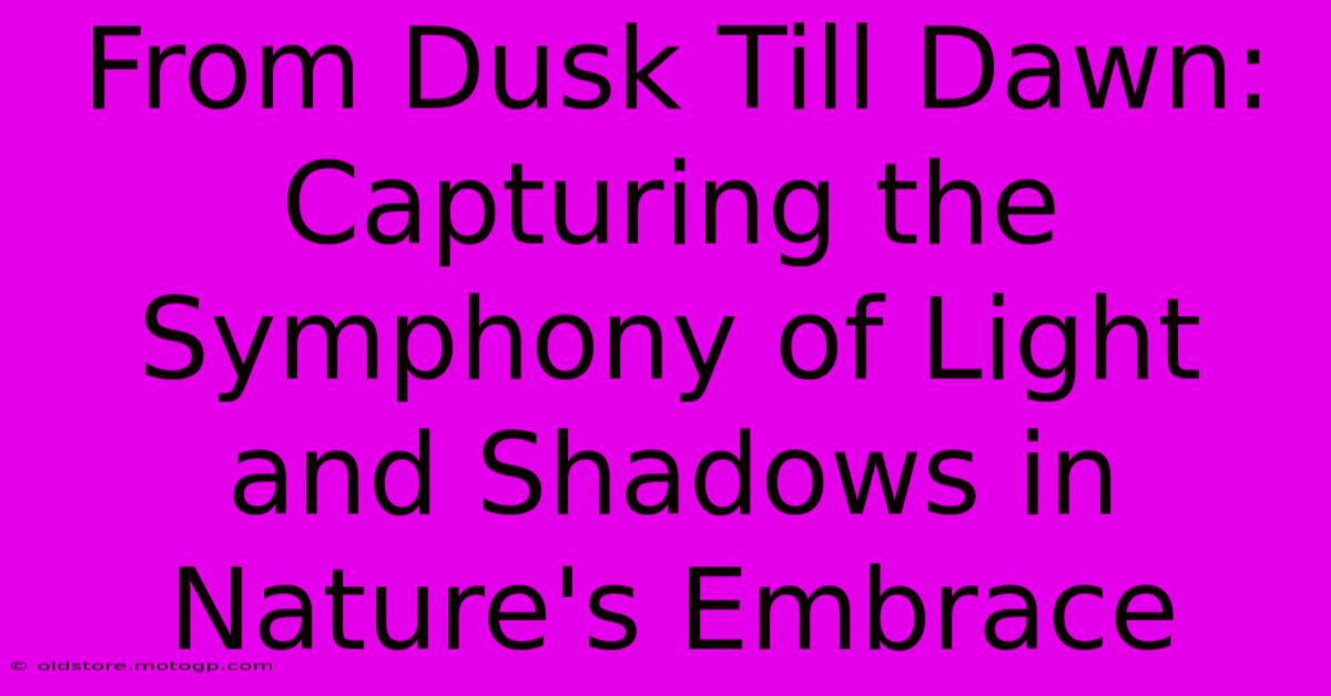 From Dusk Till Dawn: Capturing The Symphony Of Light And Shadows In Nature's Embrace