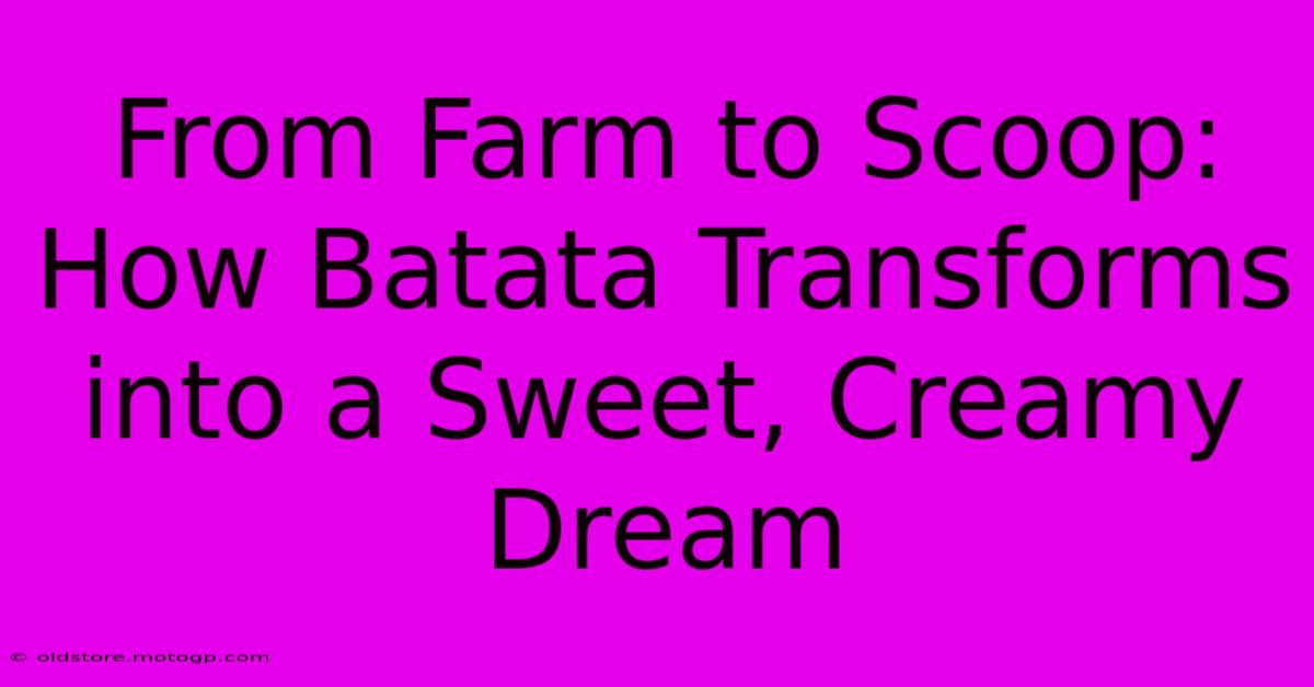 From Farm To Scoop: How Batata Transforms Into A Sweet, Creamy Dream