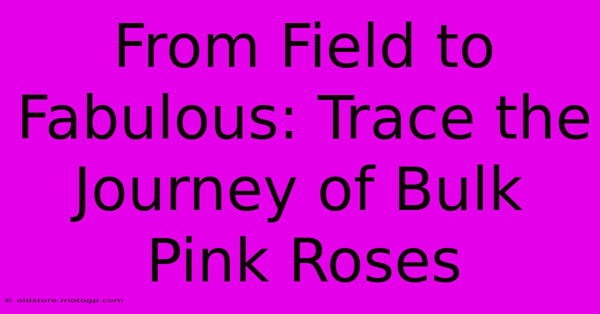 From Field To Fabulous: Trace The Journey Of Bulk Pink Roses