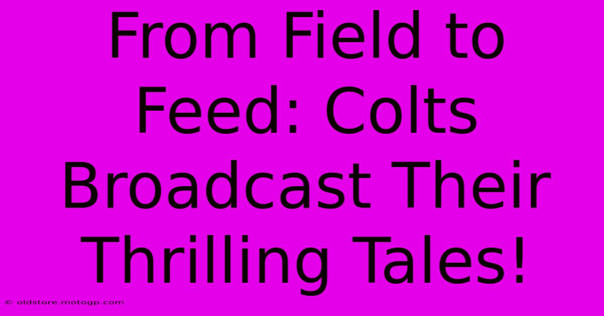 From Field To Feed: Colts Broadcast Their Thrilling Tales!