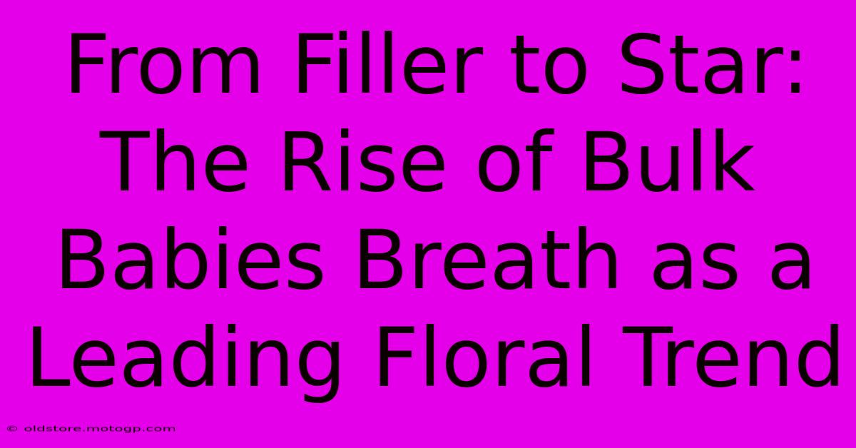 From Filler To Star: The Rise Of Bulk Babies Breath As A Leading Floral Trend