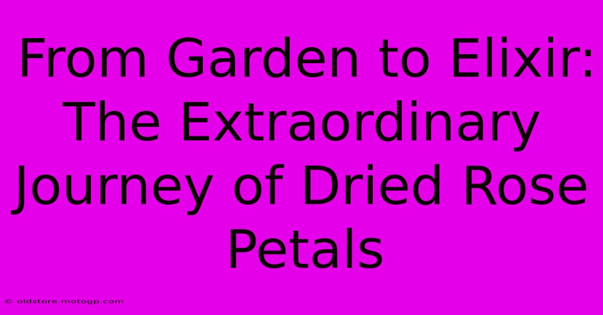 From Garden To Elixir: The Extraordinary Journey Of Dried Rose Petals