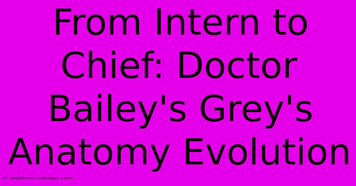 From Intern To Chief: Doctor Bailey's Grey's Anatomy Evolution