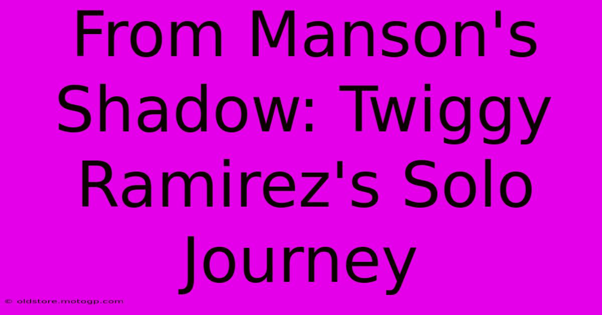 From Manson's Shadow: Twiggy Ramirez's Solo Journey