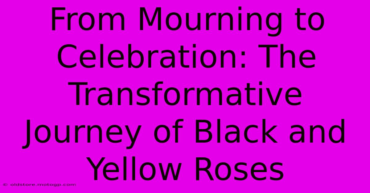 From Mourning To Celebration: The Transformative Journey Of Black And Yellow Roses