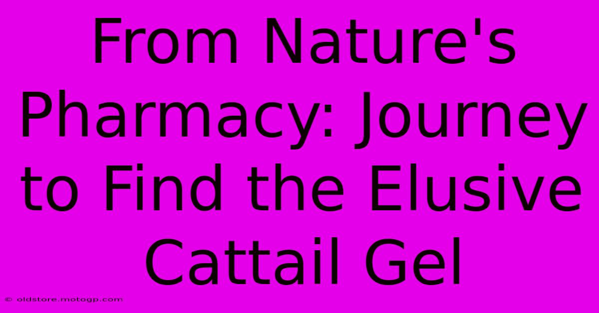 From Nature's Pharmacy: Journey To Find The Elusive Cattail Gel