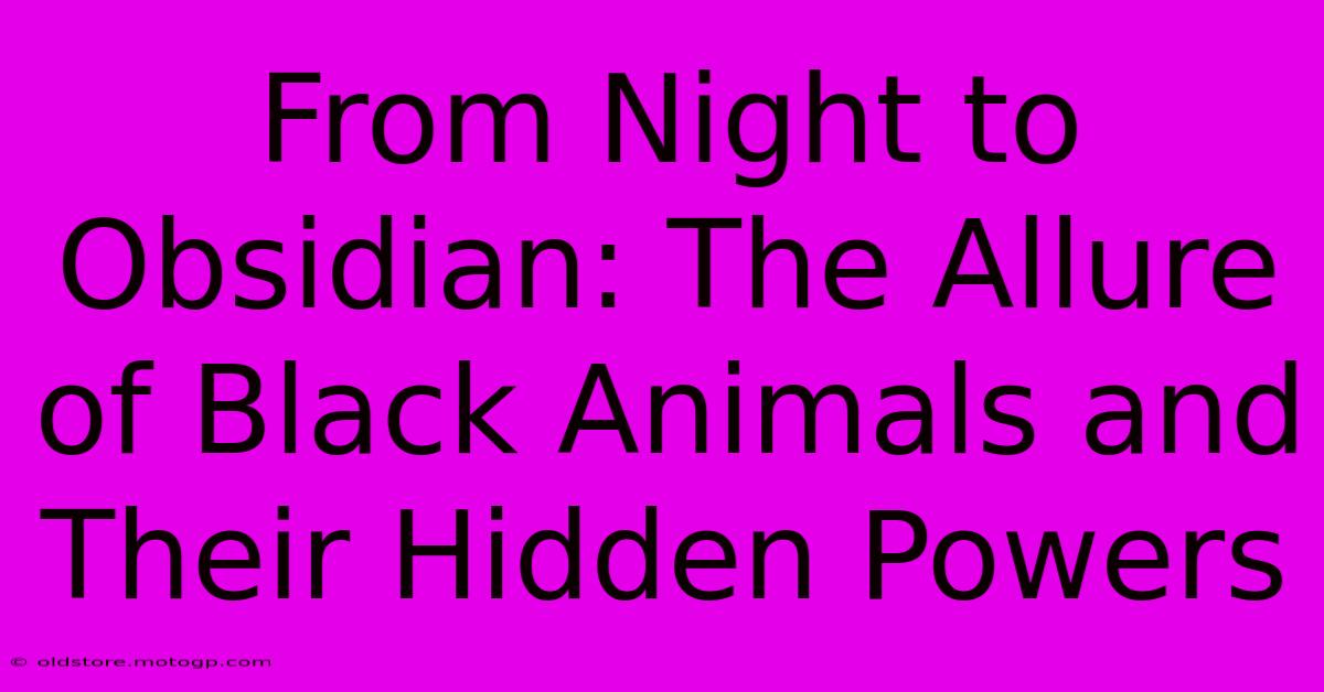 From Night To Obsidian: The Allure Of Black Animals And Their Hidden Powers