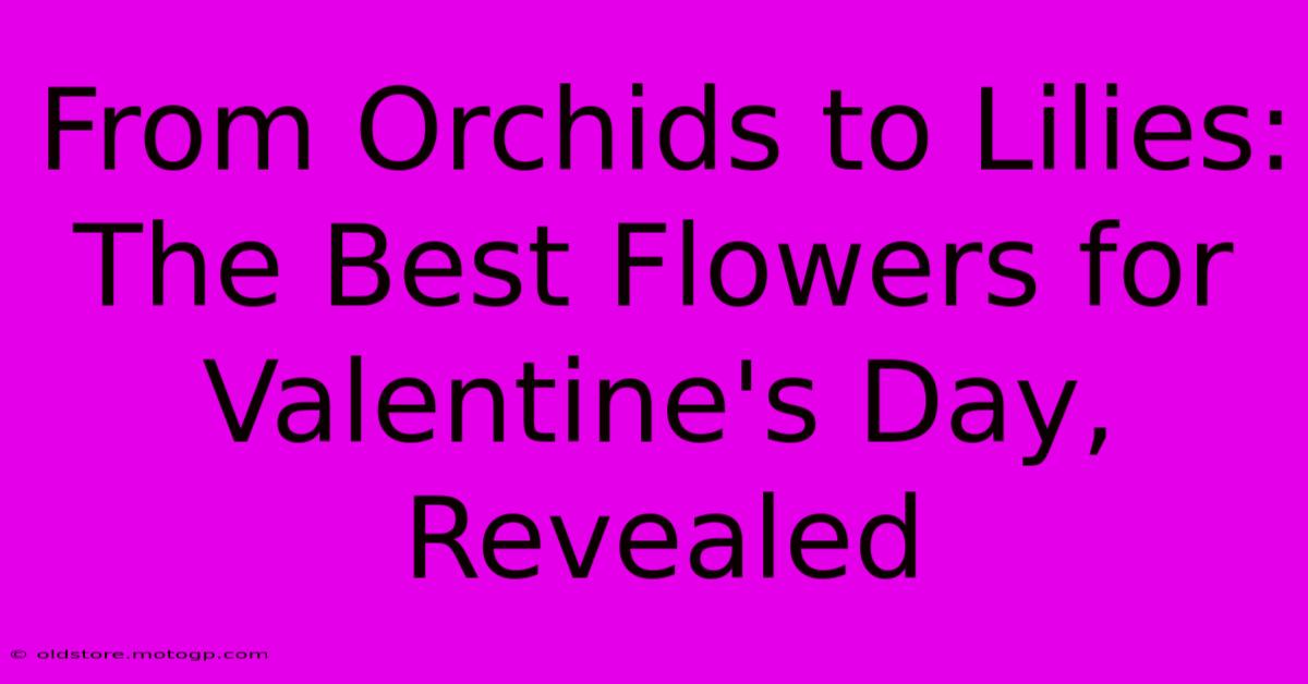 From Orchids To Lilies: The Best Flowers For Valentine's Day, Revealed