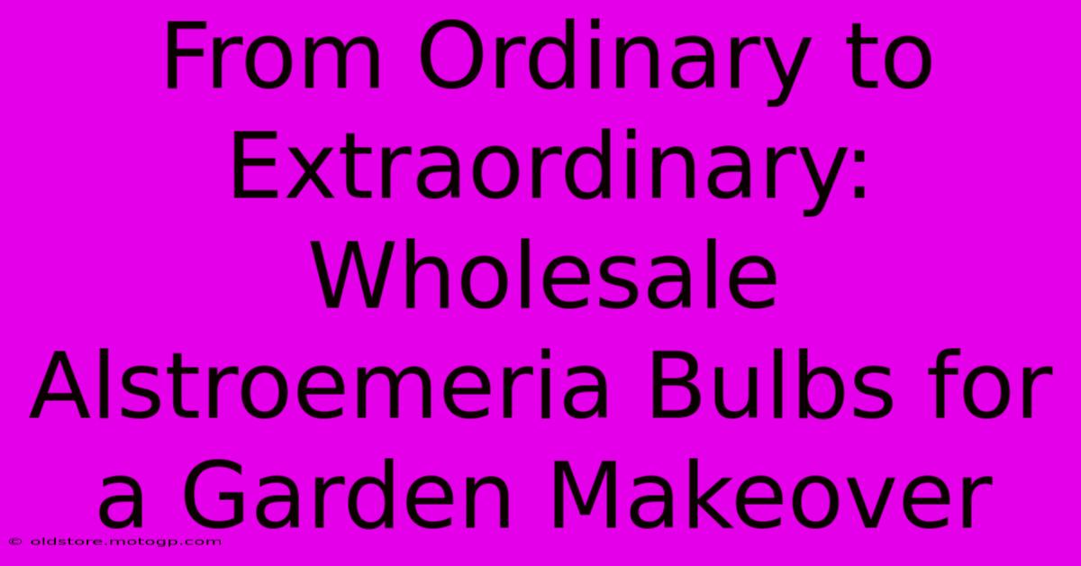 From Ordinary To Extraordinary: Wholesale Alstroemeria Bulbs For A Garden Makeover