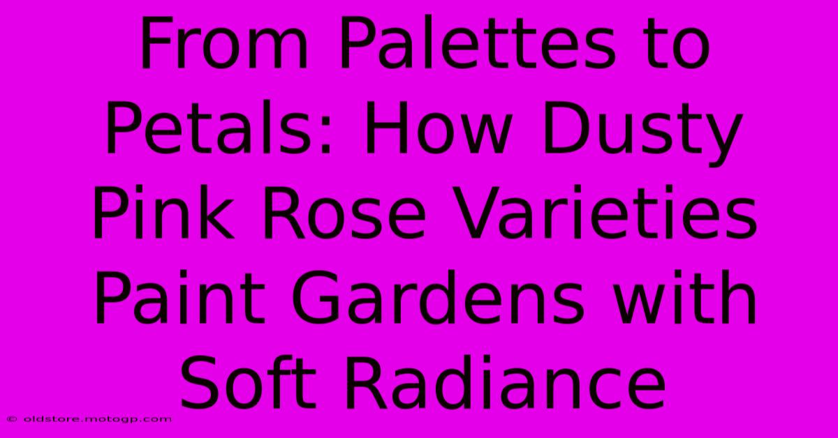 From Palettes To Petals: How Dusty Pink Rose Varieties Paint Gardens With Soft Radiance