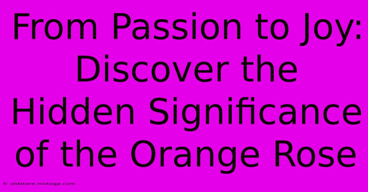 From Passion To Joy: Discover The Hidden Significance Of The Orange Rose