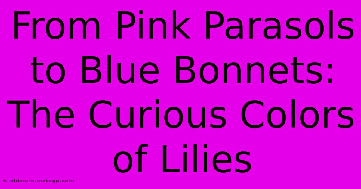 From Pink Parasols To Blue Bonnets: The Curious Colors Of Lilies