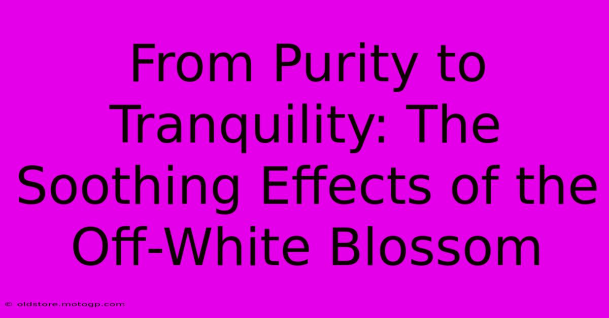 From Purity To Tranquility: The Soothing Effects Of The Off-White Blossom