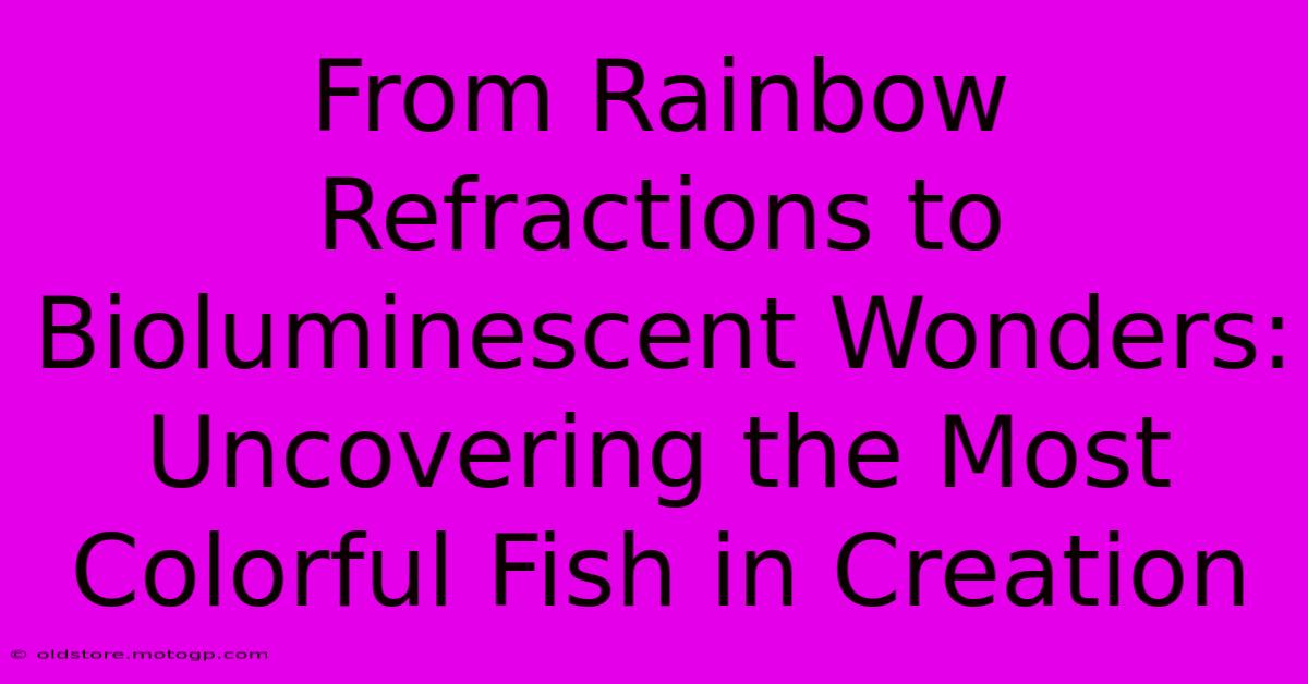 From Rainbow Refractions To Bioluminescent Wonders: Uncovering The Most Colorful Fish In Creation