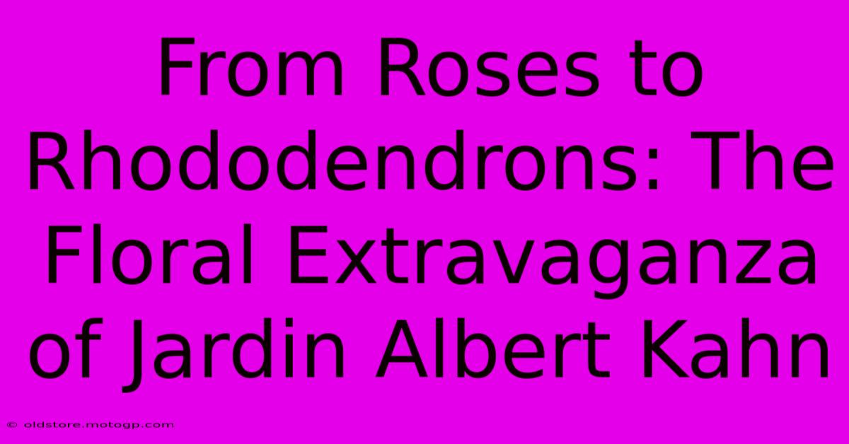 From Roses To Rhododendrons: The Floral Extravaganza Of Jardin Albert Kahn