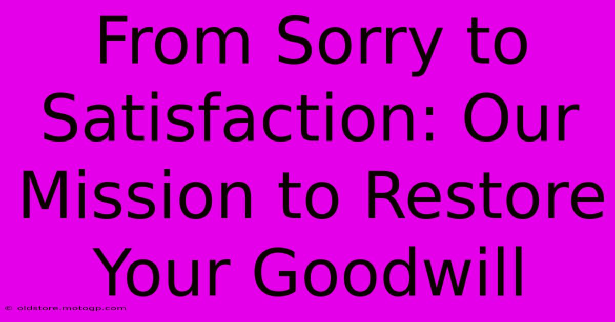 From Sorry To Satisfaction: Our Mission To Restore Your Goodwill