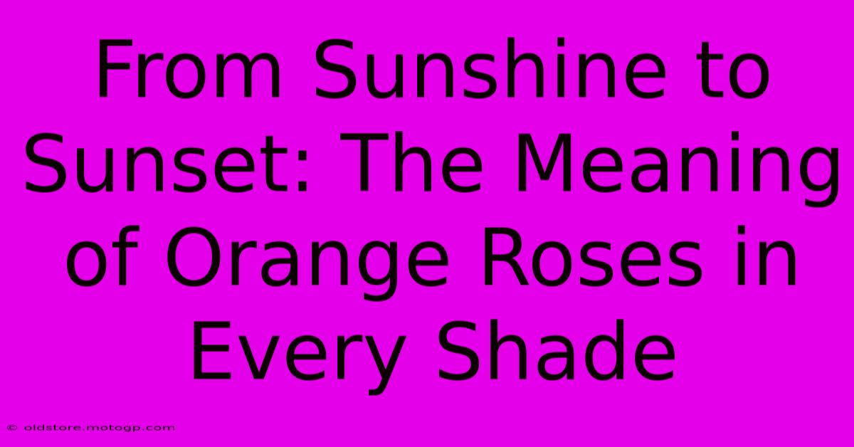 From Sunshine To Sunset: The Meaning Of Orange Roses In Every Shade