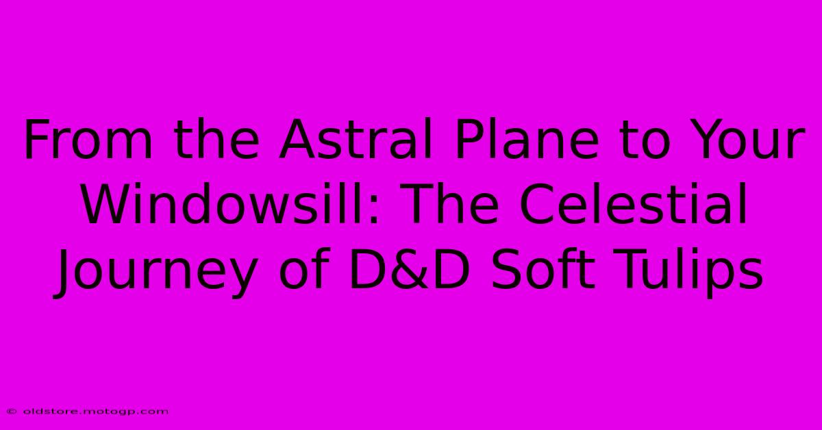 From The Astral Plane To Your Windowsill: The Celestial Journey Of D&D Soft Tulips