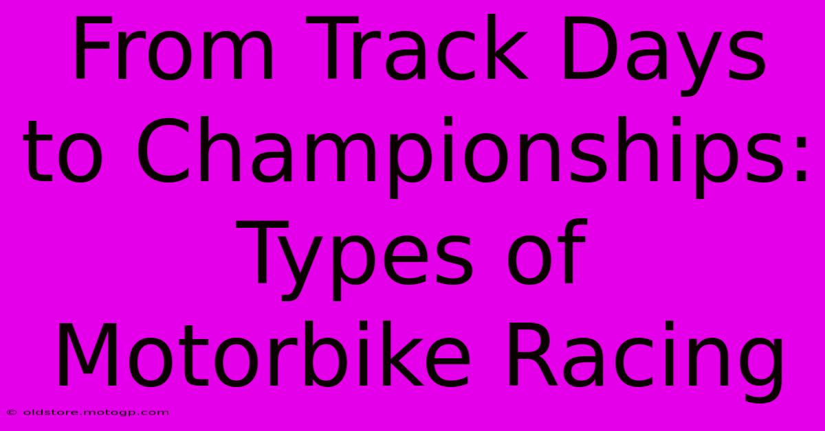 From Track Days To Championships: Types Of Motorbike Racing