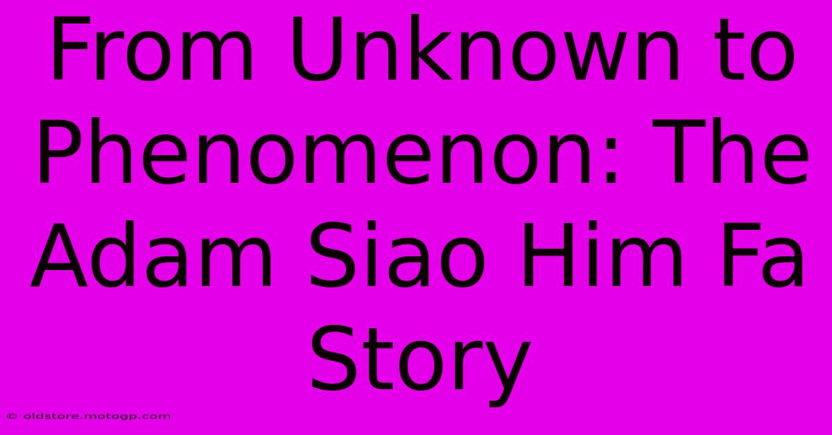 From Unknown To Phenomenon: The Adam Siao Him Fa Story