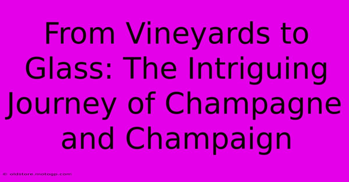 From Vineyards To Glass: The Intriguing Journey Of Champagne And Champaign