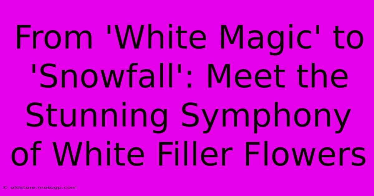 From 'White Magic' To 'Snowfall': Meet The Stunning Symphony Of White Filler Flowers