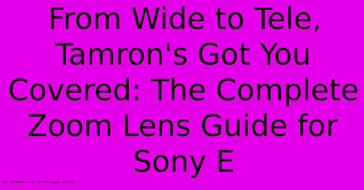 From Wide To Tele, Tamron's Got You Covered: The Complete Zoom Lens Guide For Sony E