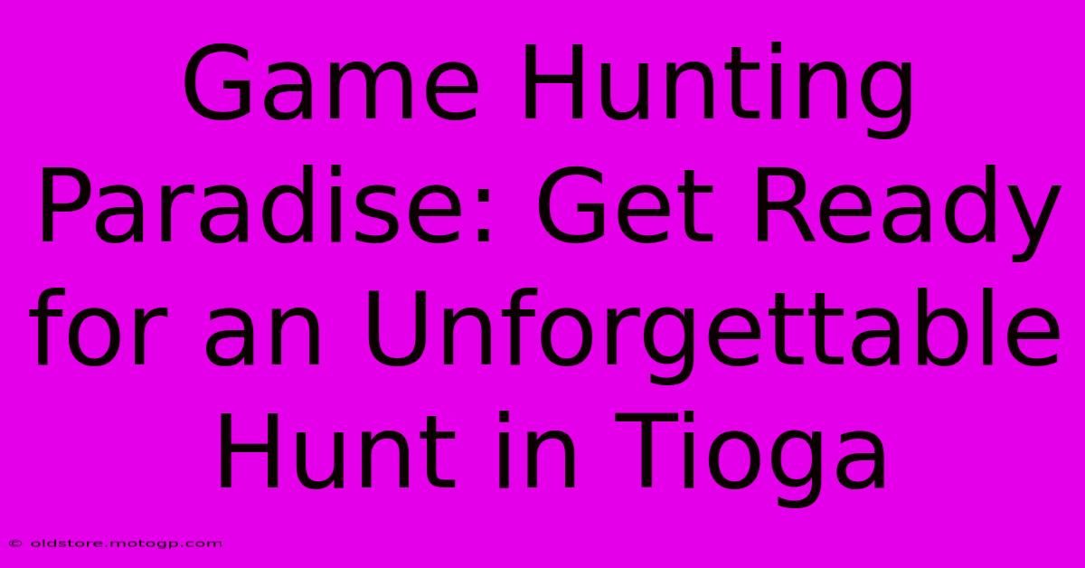 Game Hunting Paradise: Get Ready For An Unforgettable Hunt In Tioga