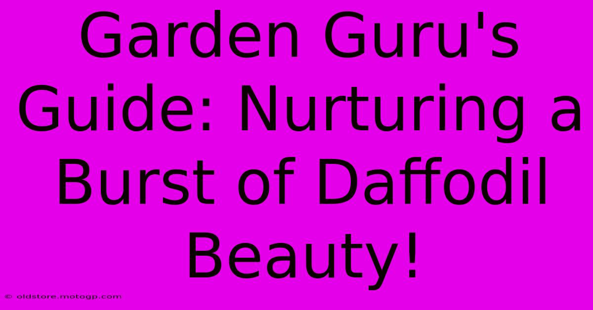 Garden Guru's Guide: Nurturing A Burst Of Daffodil Beauty!